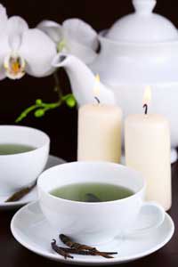 rein coach intuitive